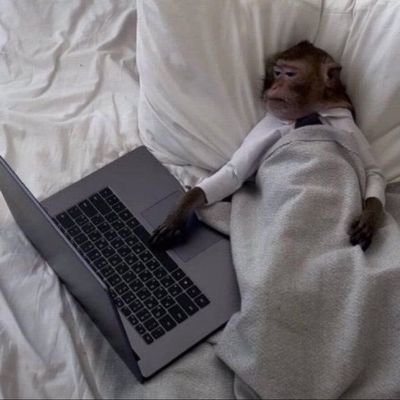 Nini2K24's profile picture. Glad To Be Profitable 🤑