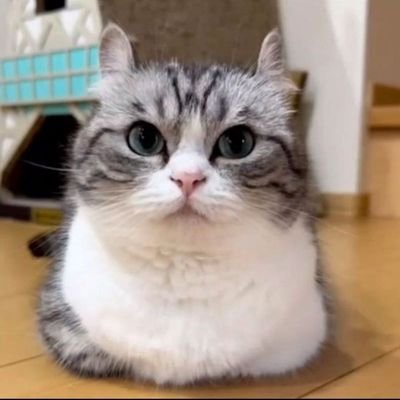 theoxio84343's profile picture. 