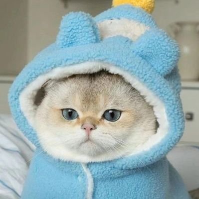 cnmvup's profile picture. เน้นรี  เฟบ 🦋✨️