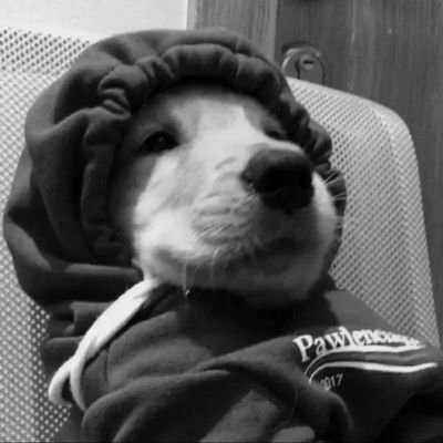 bruno_elric1's profile picture. @ no sé. tqm?. In my 20's (I want to die)