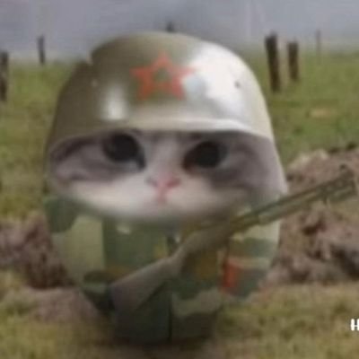 omlamctm's profile picture. Hola