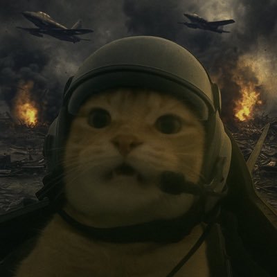 cmdwyb's profile picture. .