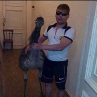 Coougarrr (@coougarrr_) 's Twitter Profile Photo Coougarrr (@coougarrr_) 's Twitter Profile Photo