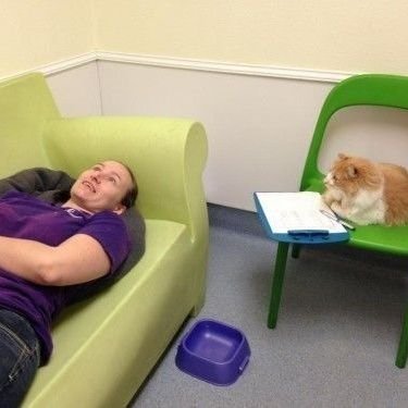 tyryeisjzk's profile picture. ฮื่อฮื่อ หนูอยากเป็นนักวิจัย