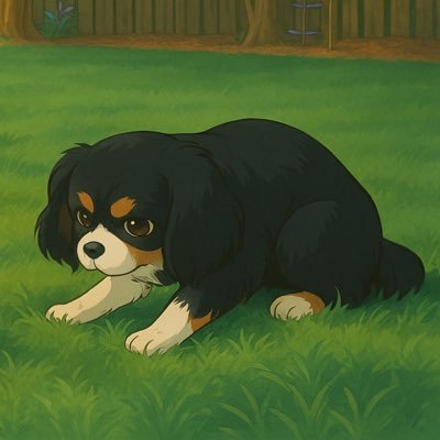 notboobie_ss's profile picture. @boobie_ss twitter journal