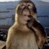 Normal Account for Normal Things (@freakforbrains) 's Twitter Profile
