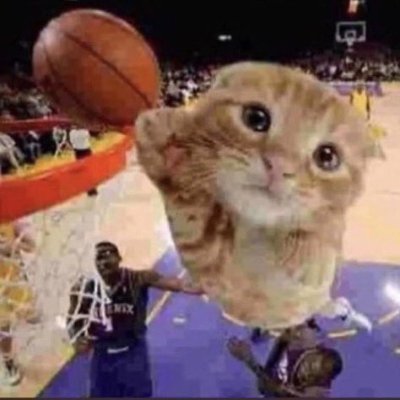 Fudziman's profile picture. BeatWar  Ambassador