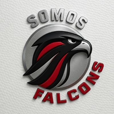 Pasión, orgullo y vuelo. ¡Somos Falcons!
#DirtyBirds #Falcons #SomosFalcons