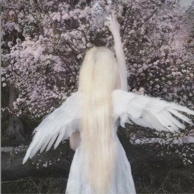 NEW ACC ! @bellebloomzs / priv : @yanasecretz