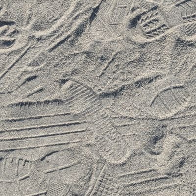 flopternette's profile picture. im on twitter to lie and joke.