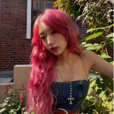 laoranja's profile picture. ⋆˚𝜗𝜚˚⋆ ➝ apaixonada em biologia, kdramas, livros, dança e no Charlie Sampson