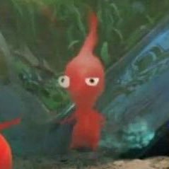 babytomatoing's profile picture. 도