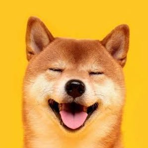 TOBY021957's profile picture. 室工大1年SARD(Hyb & 開発)