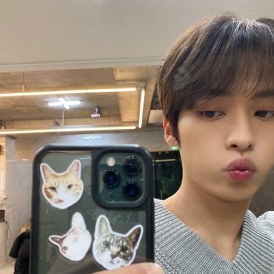 kitlolz's profile picture. Skz & Itzy ult ૮ ․ ․ ྀིა