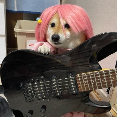 Nibble_Dibble's profile picture. Multifaceted Roblox Developer 

VFX • SFX • Animations

Join my discord: https://t.co/5VjncoGJfP
