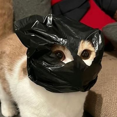 쿠키さんのプロフィール画像