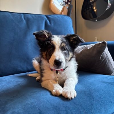 @Kesthecollie