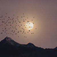 مصعب المالكي (@malmalky44582) 's Twitter Profile