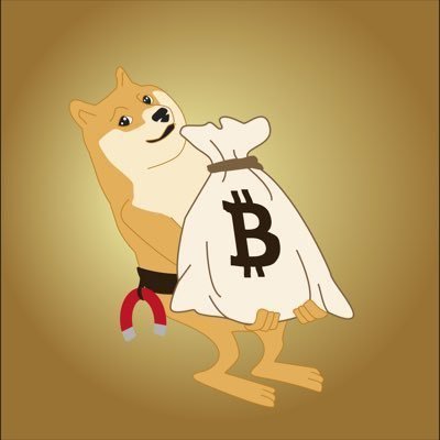 RookieXB_T's profile picture. internet coins