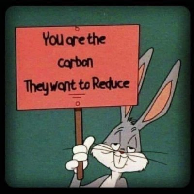 AlejksReksun's profile picture. #soloquedavox #memes #shitposting #badtakes