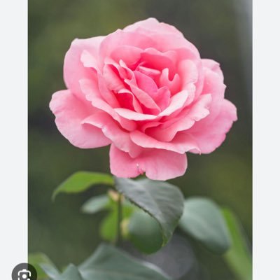 haley8304's profile picture. 