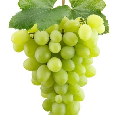 Grapes_Galor3's profile picture. Just a bunch of grapes