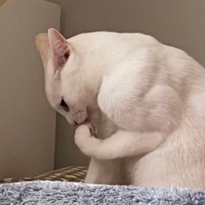 HeartyHarry12's profile picture. Hungry worker, you know who it is 🫩