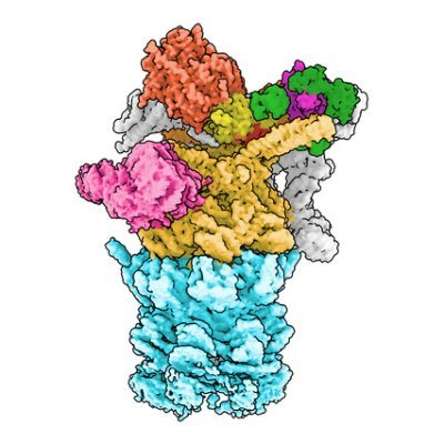 Haselbach lab Profile