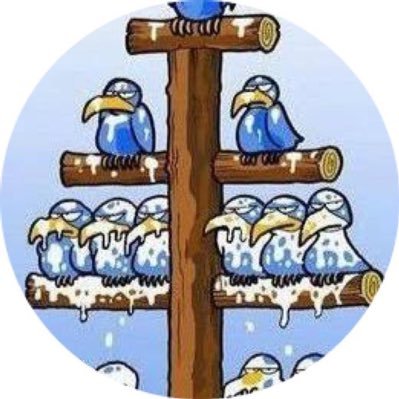 mltmyckrlml's profile picture. 