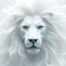 Temmyjhullex's profile picture. Hair and fashion stylist