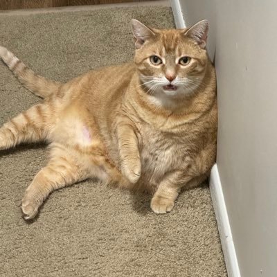 krog3r's profile picture. 