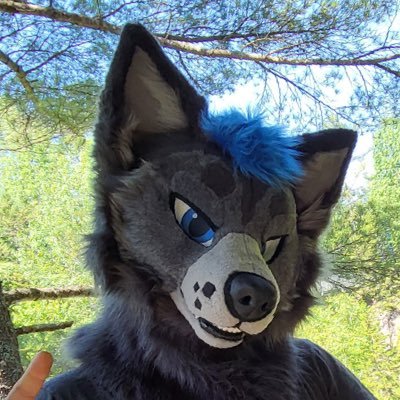 En/Fr | Friendly fluffy wolf dog so gib me all the goob. 👔 Working at Black Mesa Research Facility since 2023 🐺 by @yazurscritters 💙: @samaelthewolf