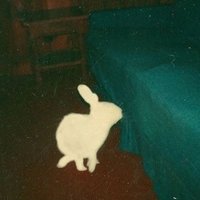 Laila (@irvr_momo) 's Twitter Profile