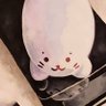 Tak0fuusen's profile picture. Tako 🦭 | sleepy mixed media artist | enthusiast of seals and seal accessories |