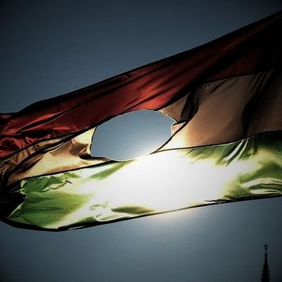 Christianity ✝️ | Hungarian Nationalism 🇭🇺 | Western Civilisation 🇺🇸🇪🇺🇺🇦🇮🇱 | TISZA 2026 🇭🇺 | Views are that of the True Hungary