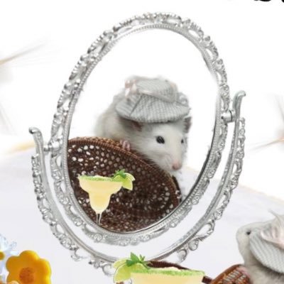 MartinaZvezda's profile picture. Olga