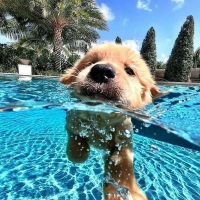 Na codzień snob Literacki, Kinomaniak, udający do tego krytyka muzycznego. Jestem również Reptilianem. |
Środowy Kawiarz z @Livies11 | He/Him | fan account