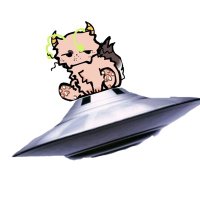 ufo (@ufo_flies_past) 's Twitter Profile