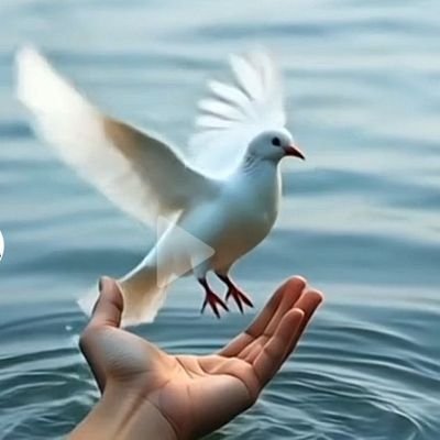 Nik12Kk's profile picture. love