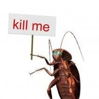 히말 (@esttico1) 's Twitter Profile Photo