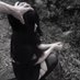 Kiki (shtwt) (@bruisedloveee) Twitter profile photo Kiki (shtwt) (@bruisedloveee) Twitter profile photo