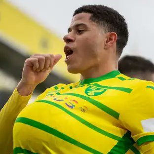 AygulGoktu40901's profile picture. 