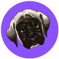 Conan (@thedogconan) 's Twitter Profile Photo Conan (@thedogconan) 's Twitter Profile Photo