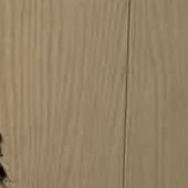 dwiputra (@dwiputra_s63173) 's Twitter Profile