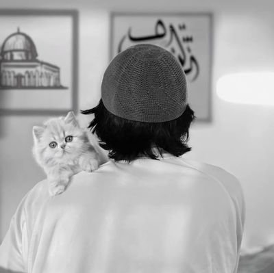 ihaammii's profile picture. Main: @just_haammi