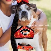 Bianca Belair (@biancabela42920) 's Twitter Profile