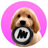 $MINI | memecoin on Minima (@mini_on_minima) 's Twitter Profile