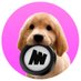 $MINI | memecoin on Minima (@mini_on_minima) Twitter profile photo $MINI | memecoin on Minima (@mini_on_minima) Twitter profile photo
