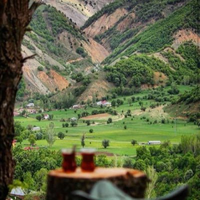 mota1mel's profile picture. نتاج الأفكار المتناقضة| مشّاء بين العلوم | وأحياناً شاعر.