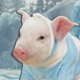 Your local Poogie that loves Monster Hunter and FFXIV Go by either Yen or Kya 22 y/o any/all